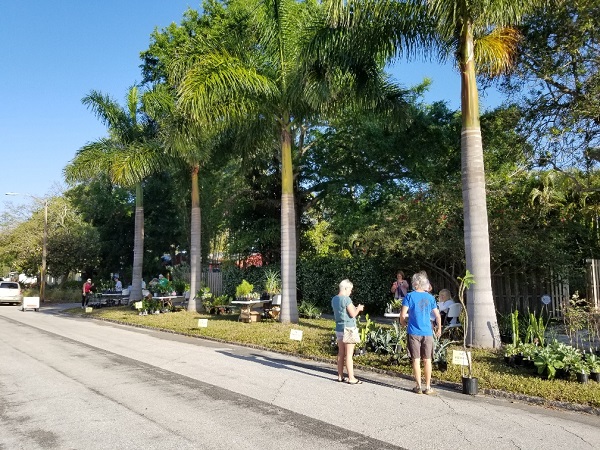 An image of Old Southeast Neighborhood Plant Sale